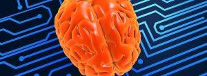 Los investigadores probaron recientemente los circuitos cerebrales implicados en la esquizofrenia