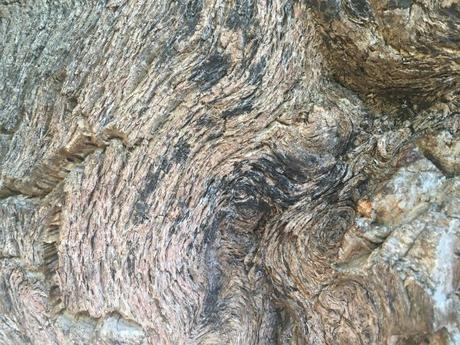 Ruta de los Zufreiros del Frade en Lago de Carucedo