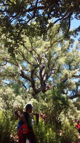 Ruta de los Zufreiros del Frade en Lago de Carucedo