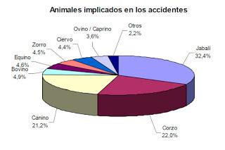 Las otras víctimas de la carretera