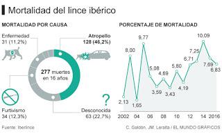 Las otras víctimas de la carretera