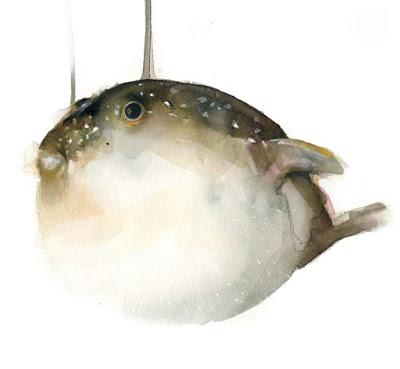 Berta LLonch Berta LLonch