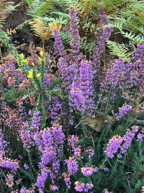 El banco mas bonito del mundo