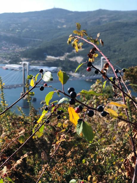 El banco mas bonito del mundo