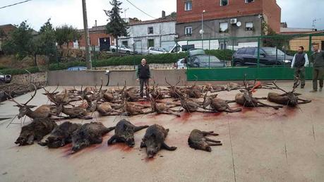 Resultado de imagen de robledo del buey toledo