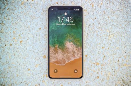 El iPhone Xs Max. (M. Mcloughlin)