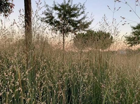 Probamos El Iphone Xs Max: ¿vale La Pena Gastar Un Sueldo (O Dos) En Lo Mejor De Apple?