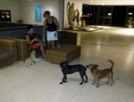 Estancia en hotel de Varadero se convierte en una pesadilla (+FOTOS)