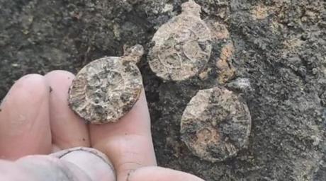 3 colgantes con una cruz cristiana pueden reescribir la historia de los vikingos 3 colgantes con una cruz cristiana pueden reescribir la historia de los vikingos