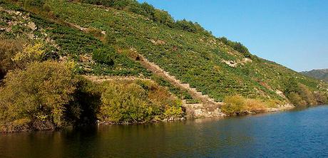 Las ferias del vino en Galicia, cultura y gastronomía a partes iguales ribeira-sacra