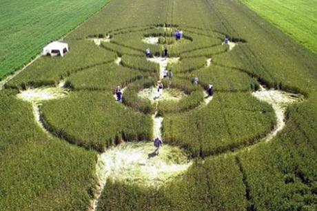 Crop Circles: los científicos dicen que son “mensajes alienígenas del futuro”
