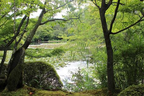 Mi viaje a Japón: Kyoto