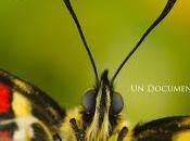 Estreno documental MARIPOSAS