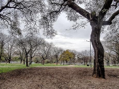 Parque Las Heras,sus árboles y el cielo con nubes.