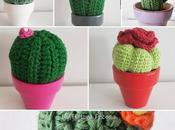 Cactus personalizados