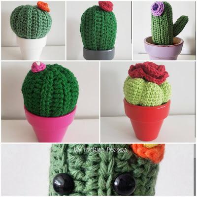 CACTUS PERSONALIZADOS