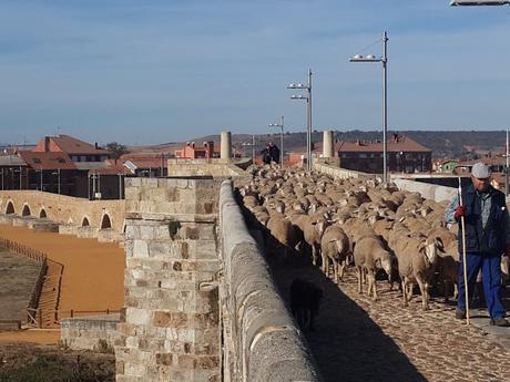 LEÓN: CAPITAL ESPAÑOLA DE GASTRONOMÍA 2018