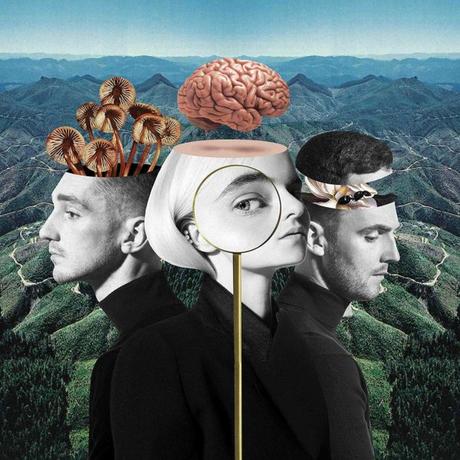Clean Bandit anuncia el contenido de su segundo disco, ‘What Is Love?’ What Is Love?