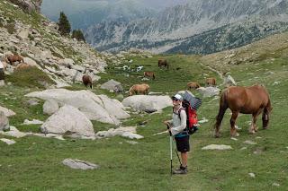 TRANSPIRENAICA GR11 ETAPA 22: ENCAMP - CABANA DELS ESPARVERS