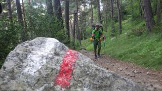 TRANSPIRENAICA GR11 ETAPA 22: ENCAMP - CABANA DELS ESPARVERS