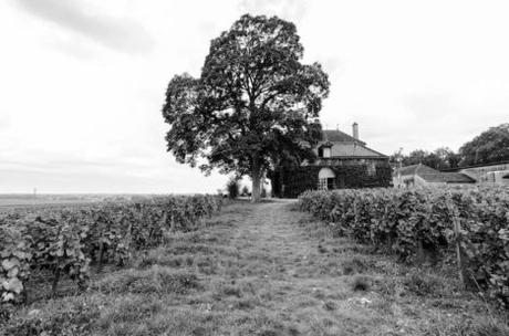 7 razones para viajar a Beaune Francia