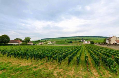 7 razones para viajar a Beaune Francia