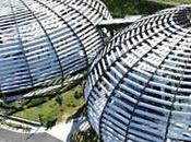 Alimentos futuro: desconocidos muchos tienen poder revolucionar nuestra alimentación