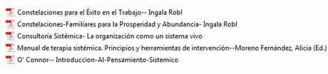 CONSTELACIONES ORGANIZACIONALES CONSTELACIONES ORGANIZACIONALES