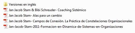 CONSTELACIONES ORGANIZACIONALES CONSTELACIONES ORGANIZACIONALES