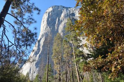 Yosemite National Park-Cómo visitar este templo de la naturaleza Yosemite National Park-Cómo visitar este templo de la naturaleza