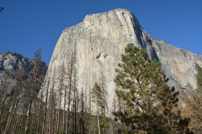 Yosemite National Park-Cómo visitar este templo de la naturaleza Yosemite National Park-Cómo visitar este templo de la naturaleza