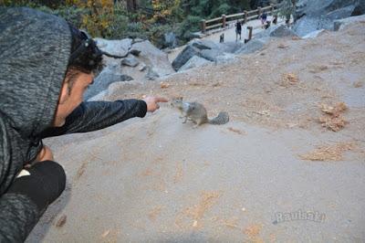 Senderismo por Yosemite - Visitando las cascadas Vernal y Nevada Falls