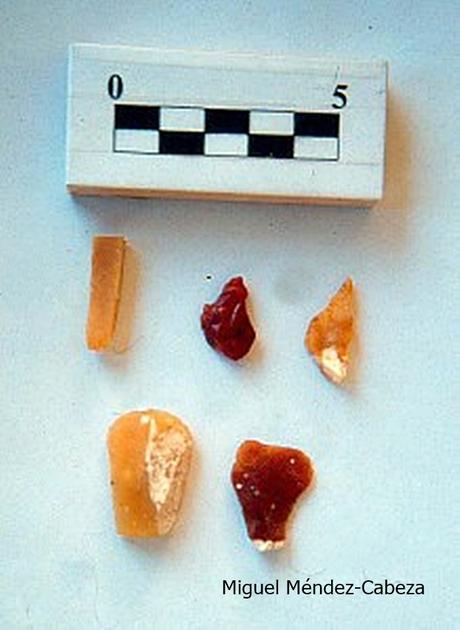 El Hombre de Guadyerbas, un curioso Yacimiento Paleolítico El Hombre de Guadyerbas, un curioso Yacimiento Paleolítico