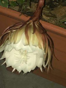 La Vida Según Nosotros