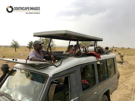 NGUSHWAY El Aguila del Serengueti