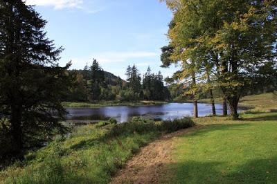 Teaser Monday: Una Relación Inapropiada de Hilda Rojas Correa