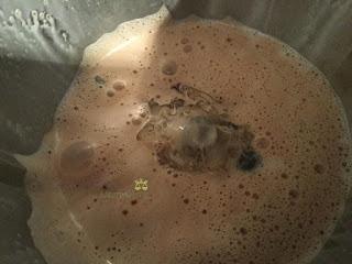 TARTA MOUSSE DE CREMA DE AVELLANA SIN AZÚCAR EN THERMOMIX Y TRADICIONAL