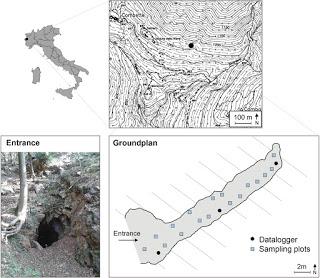 Estudios en la zona de penumbra en medio subterráneo de Italia