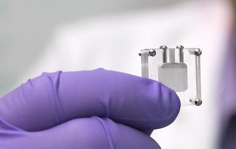 Sensor impulsado por azúcar desarrollado para detectar y prevenir enfermedades