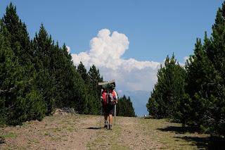 TRANSPIRENAICA GR11 ETAPA 23: CABANA DELS ESPARVERS - VILALLOBENT