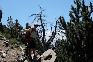 TRANSPIRENAICA GR11 ETAPA 23: CABANA DELS ESPARVERS - VILALLOBENT