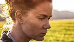 Amy Adams: Una Intérprete Que Se Desplaza Entre El Mainstream Y El Cine De Autor