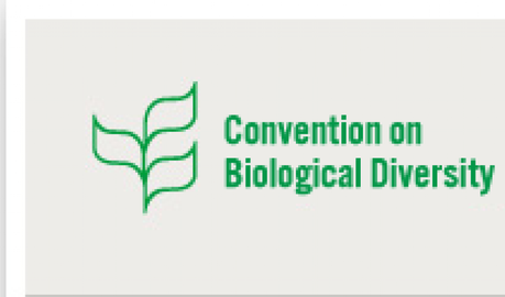 Resultat d'imatges de âTratado de las Naciones Unidas sobre la diversidad biolÃ³gicaâ