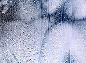 DUCHA Flor contada).