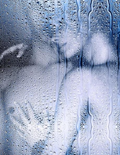 2. LA DUCHA (La Flor contada).