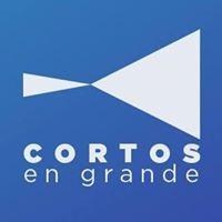 1er. Cortos en Progreso Iberoamericano, nuevo apoyo para jóvenes audiovisualistas iberoamericanos