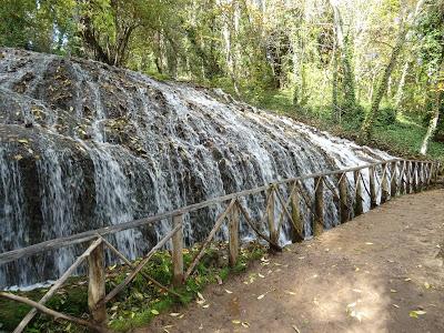 Fresnos Altos en El Monasterio de Piedra