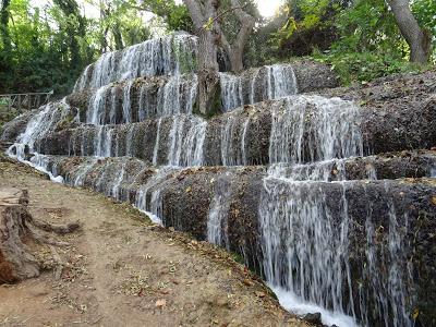 Fresnos Bajos en El Monasterio de Piedra