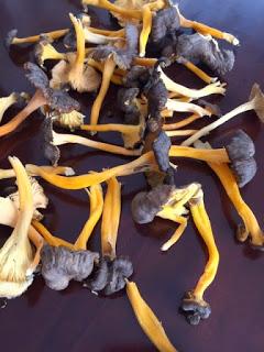 GARBANZOS CON CAMAGROCS Y BUTIFARRA GARBANZOS CON CAMAGROCS Y BUTIFARRA