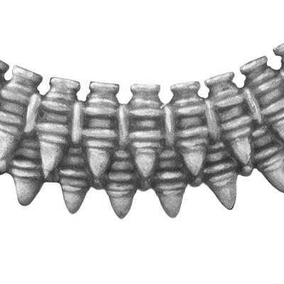 Warhammer Community: Resumen del día de hoy